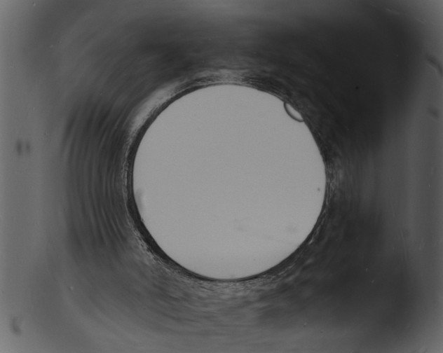 X0000103300006200809261324