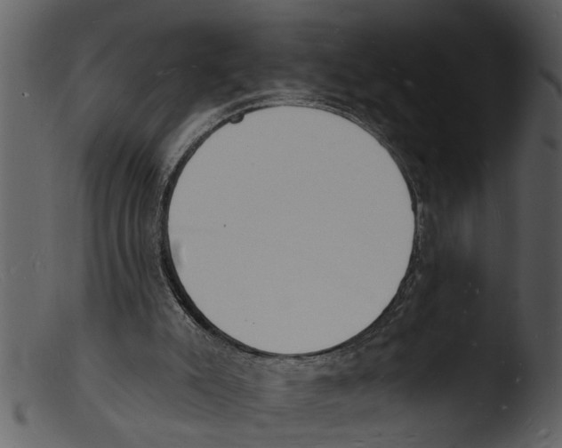 X0000103300007200809261324