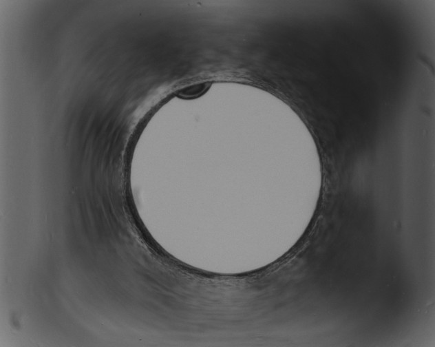 X0000103300008200809261324