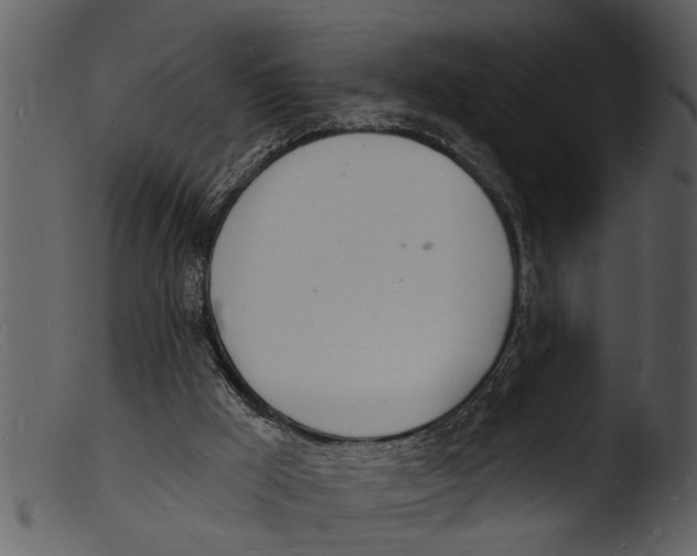 X0000103300009200809261324