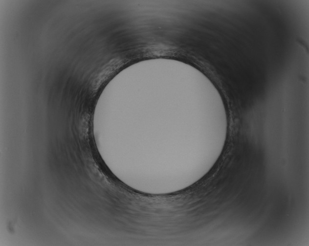 X0000103300010200809261324