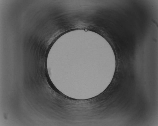 X0000103300011200809261324