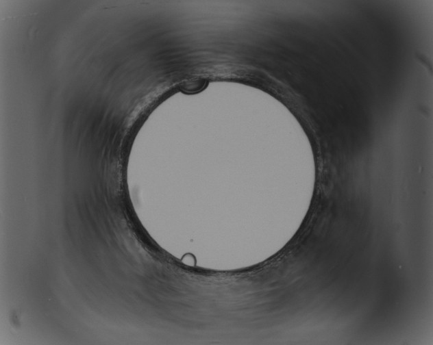 X0000103300012200809261324