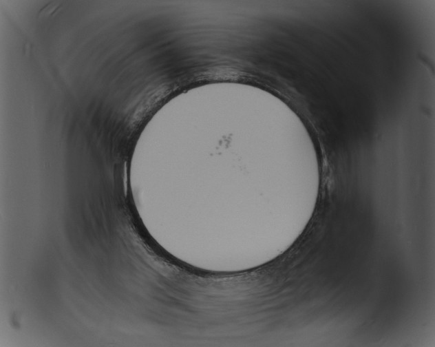 X0000103300013200809261324