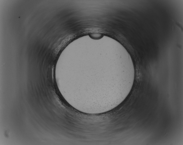 X0000103300014200809261324