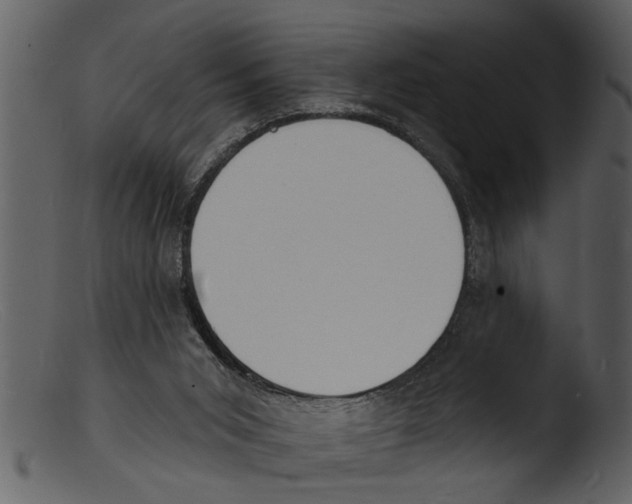 X0000103300015200809261324