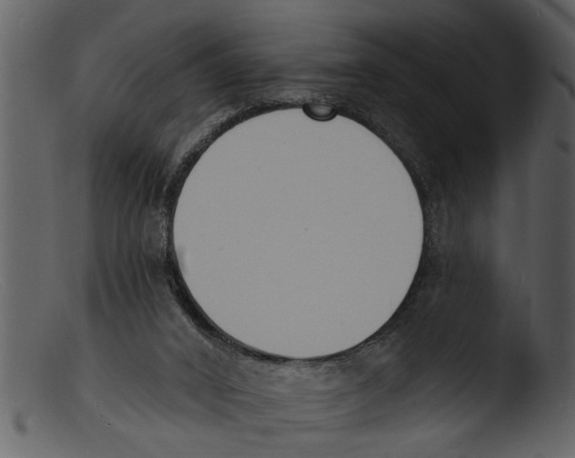 X0000103300016200809261324
