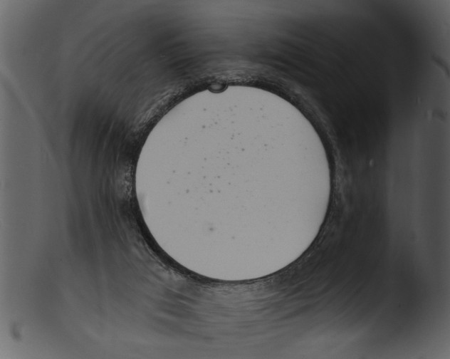 X0000103300017200809261324