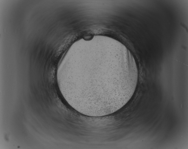 X0000103300018200809261324