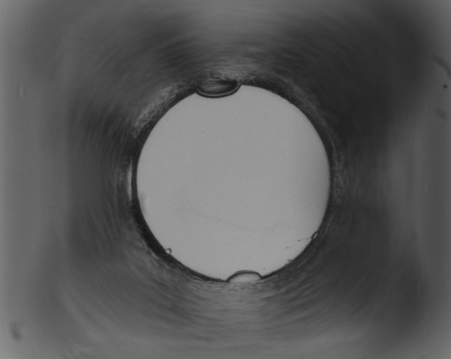 X0000103300019200809261324
