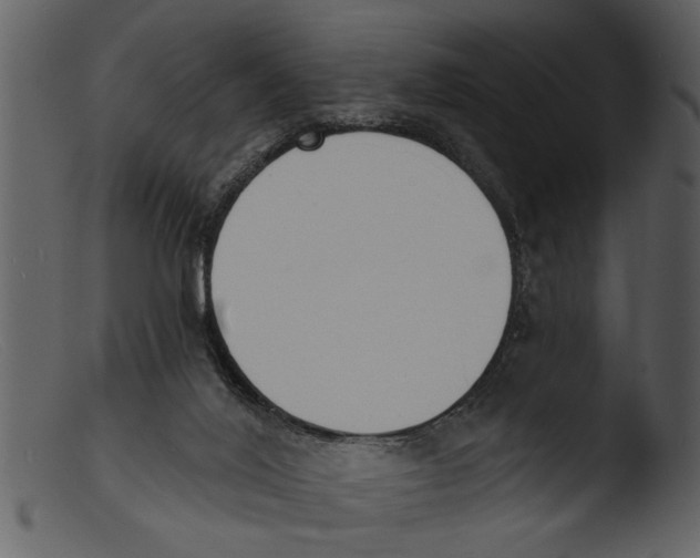 X0000103300020200809261324