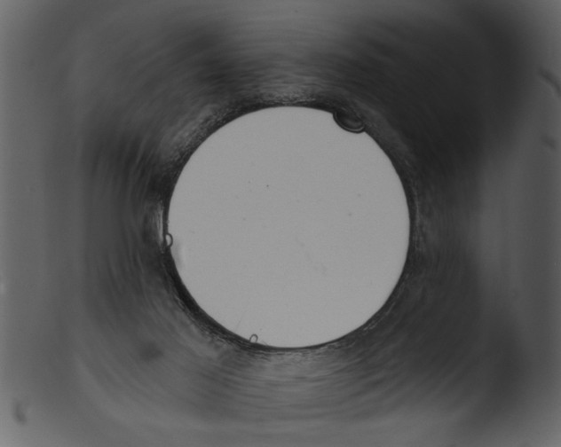X0000103300021200809261324