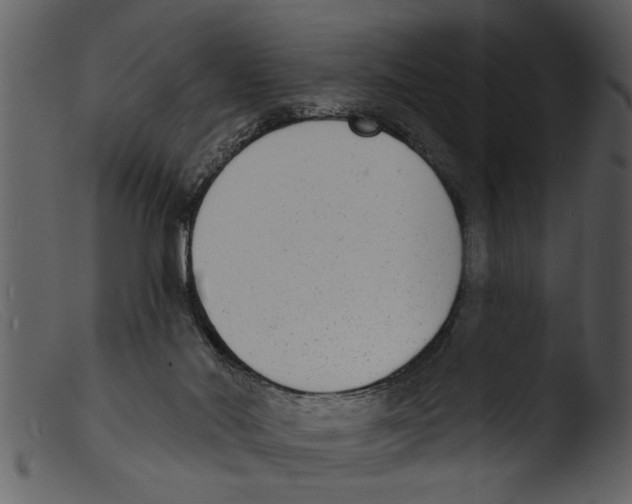 X0000103300022200809261324