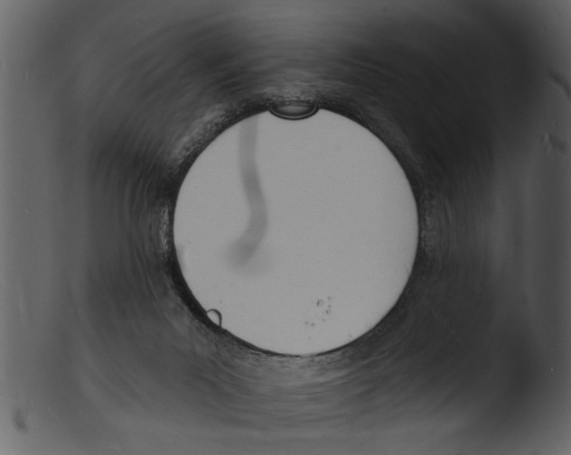 X0000103300023200809261324