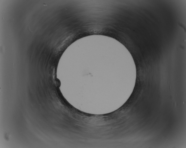 X0000103300024200809261324