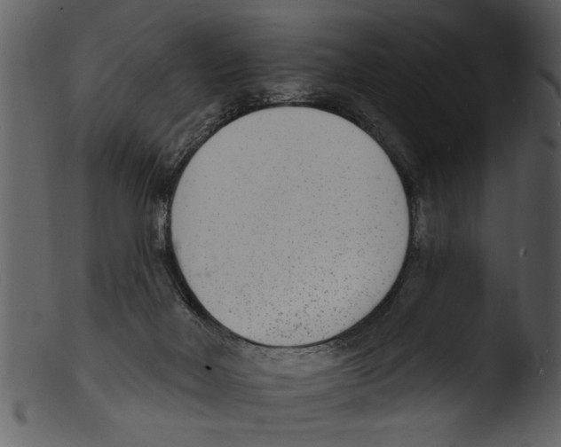X0000103300026200809261324