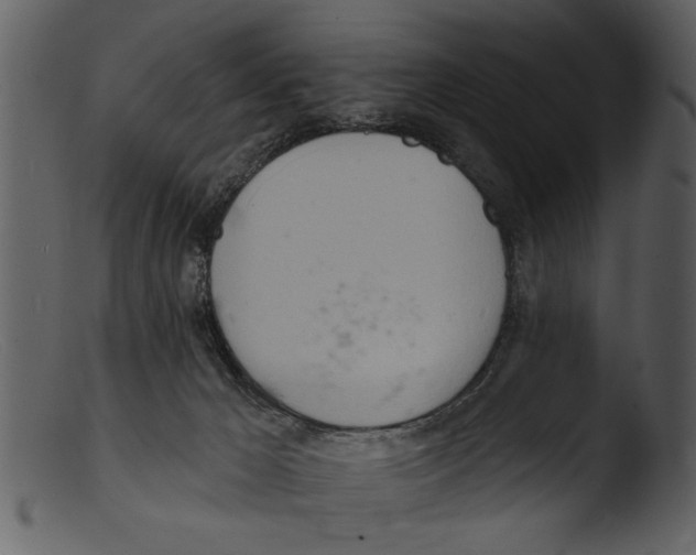 X0000103300029200809261324