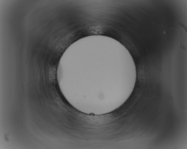 X0000103300030200809261324