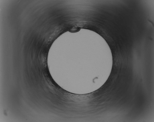 X0000103300031200809261324