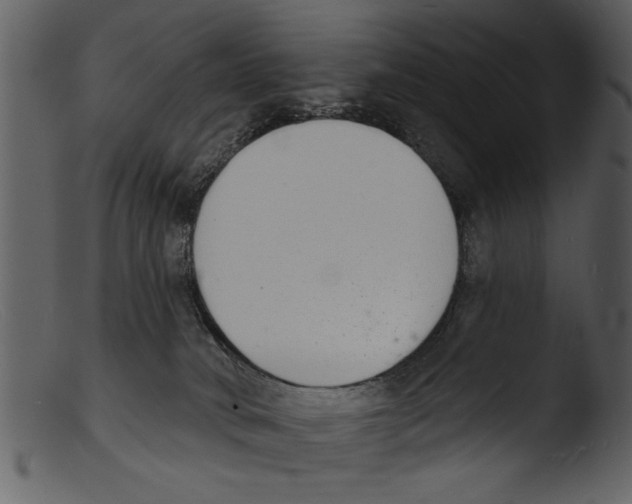 X0000103300034200809261324