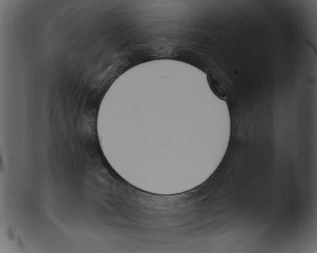 X0000103300035200809261324