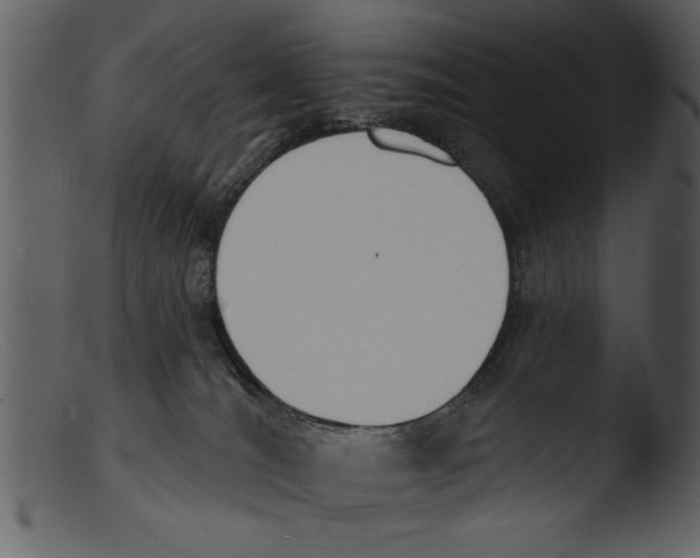 X0000103300036200809261324