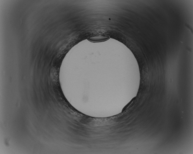 X0000103300037200809261324