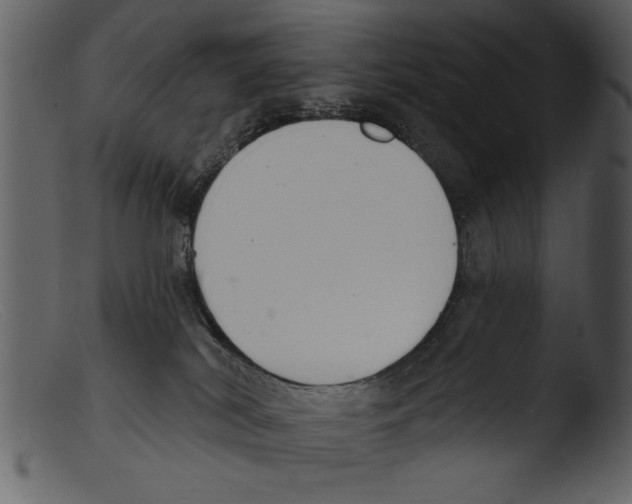 X0000103300038200809261324