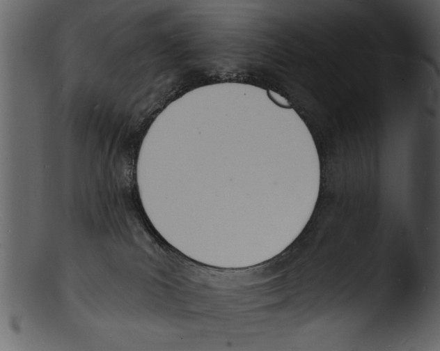 X0000103300039200809261324