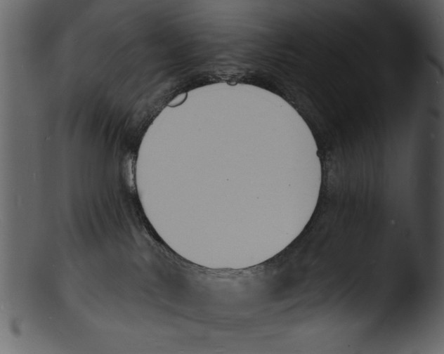 X0000103300042200809261324