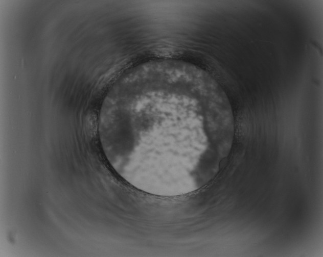 X0000103300043200809261324
