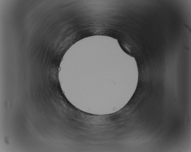 X0000103300044200809261324