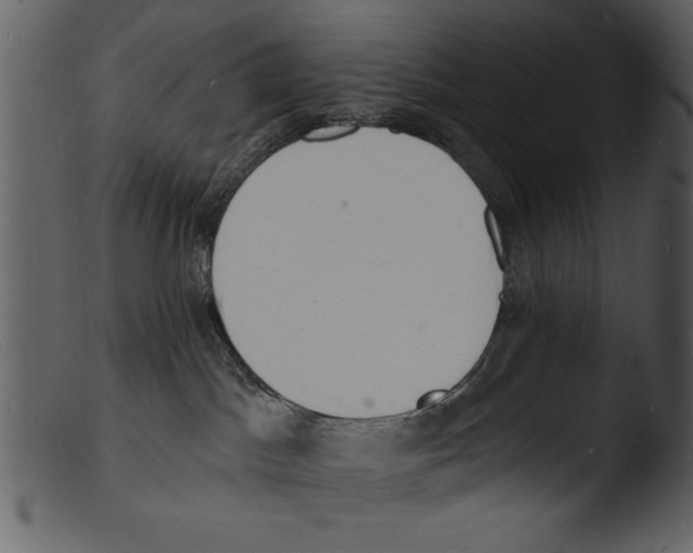 X0000103300045200809261324