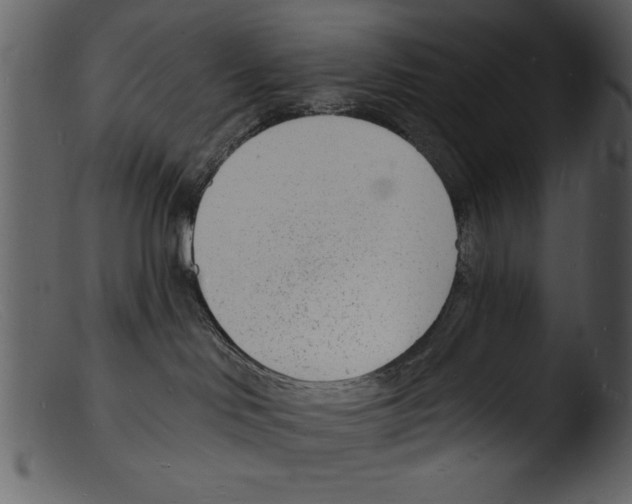 X0000103300046200809261324