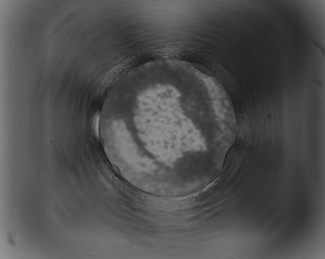 X0000103300047200809261324