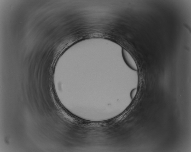 X0000103300049200809261323