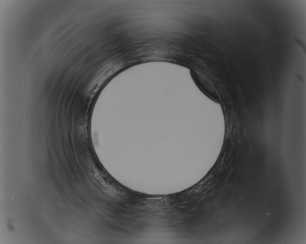 X0000103300050200809261323