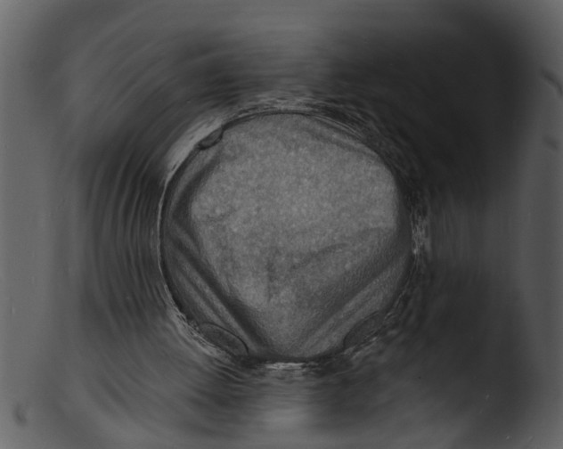 X0000103300052200809261323