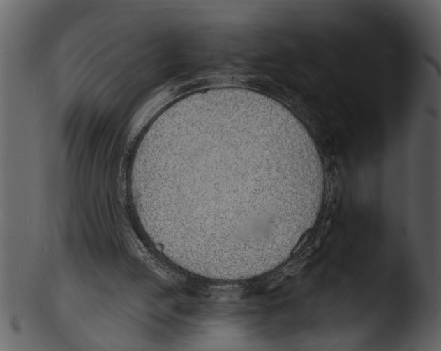 X0000103300053200809261323