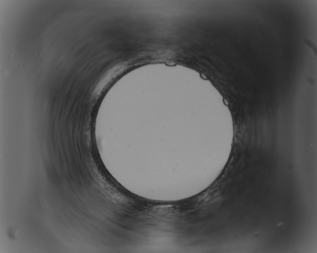 X0000103300054200809261323