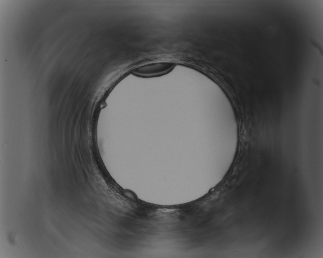 X0000103300055200809261323