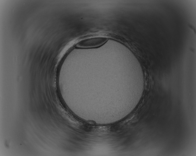X0000103300056200809261323