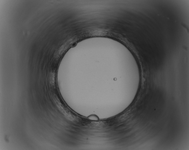 X0000103300057200809261323