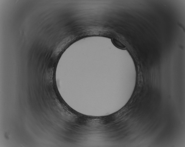 X0000103300058200809261323