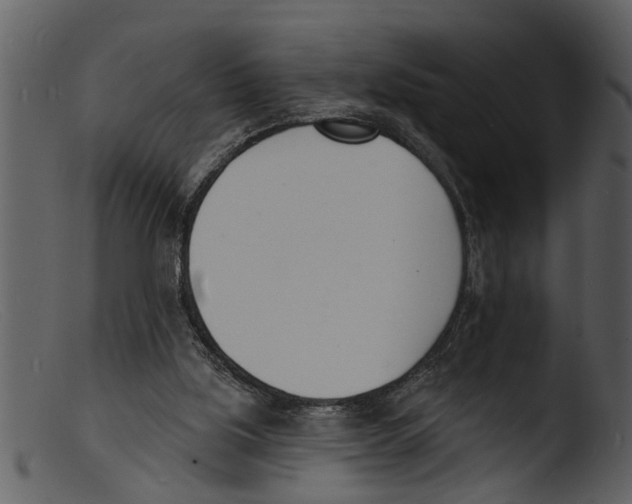 X0000103300059200809261323