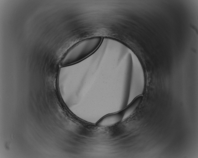 X0000103300060200809261323