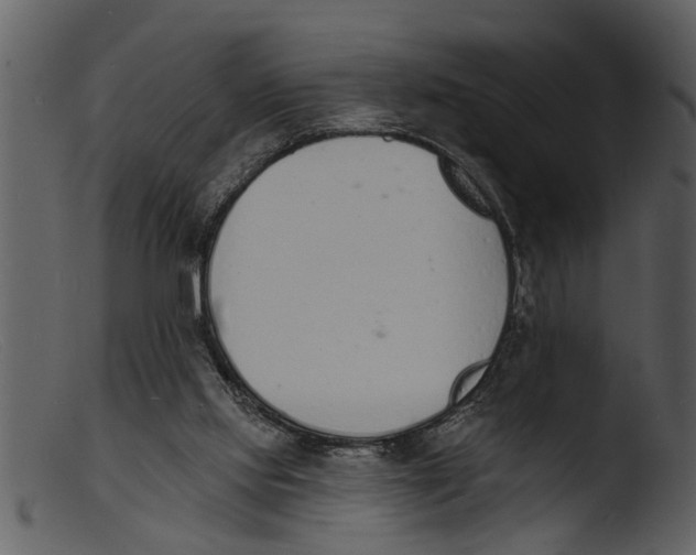 X0000103300061200809261323