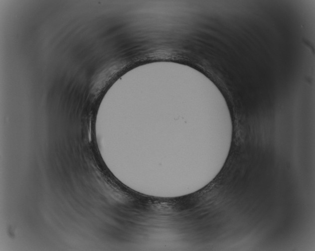 X0000103300062200809261323