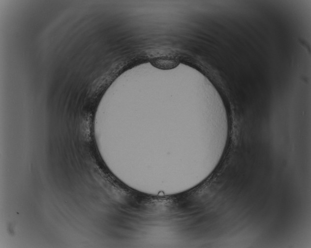 X0000103300065200809261323