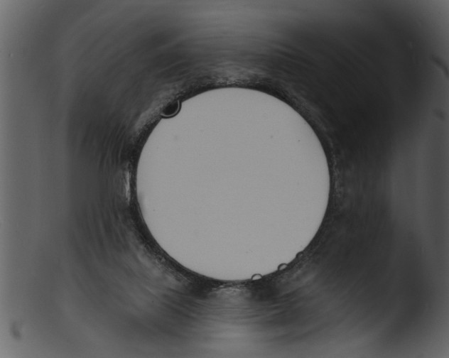 X0000103300067200809261323
